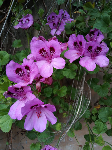 Market «La Honda Market», reviews and photos, 8865 La Honda Rd, La Honda, CA 94020, USA