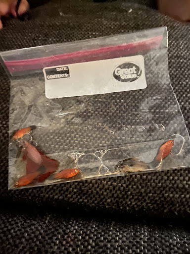 Pet Supply Store «PetSmart», reviews and photos, 10600 Melody Dr, Northglenn, CO 80234, USA