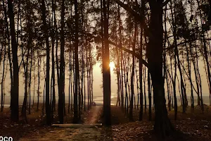 Marine Drive, Cox's Bazar image