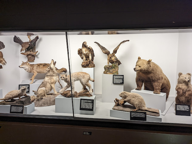 Rezensionen über Museo cantonale di storia naturale in Lugano - Museum