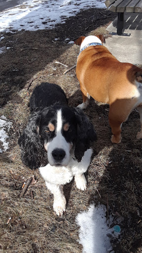 Park «Joe Moakley Park», reviews and photos, 1005 Columbia Road, Boston, MA 02127, USA