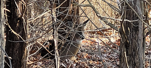 Golf Course «Smithtown Landing Golf Course», reviews and photos, 495 Landing Ave, Smithtown, NY 11787, USA