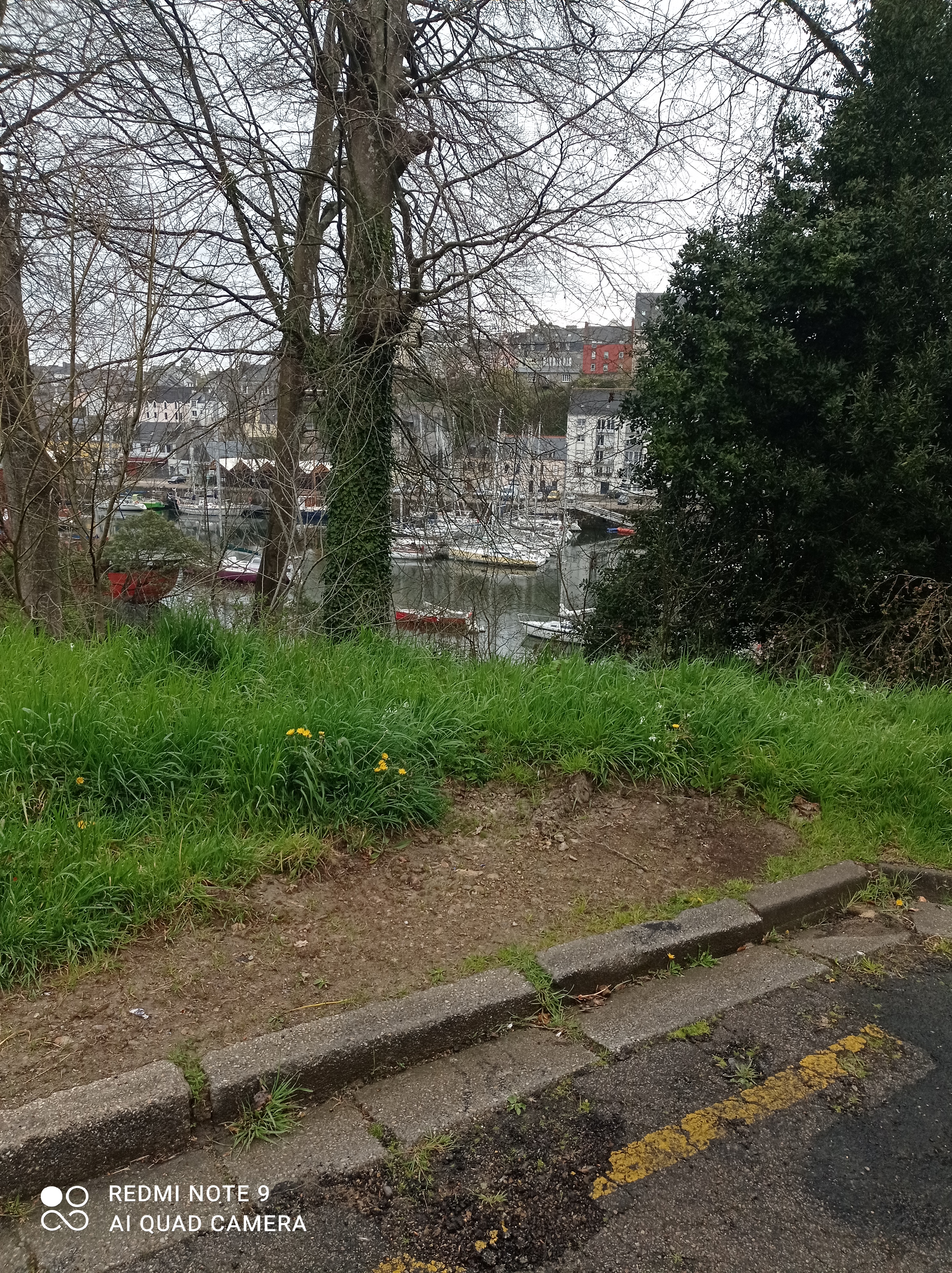 Photo n° 1 de l'avis de Yves.e fait le 22/09/2017 à 03:07