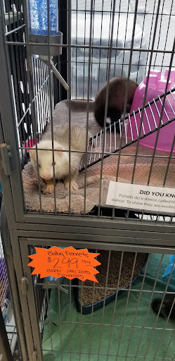 Tropical Fish Store «Animal House Pet Shop», reviews and photos, 358 Warner Milne Rd #110, Oregon City, OR 97045, USA