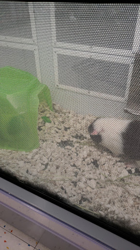 Pet Supply Store «Petco Animal Supplies», reviews and photos, 12801 Chenal Pkwy, Little Rock, AR 72211, USA