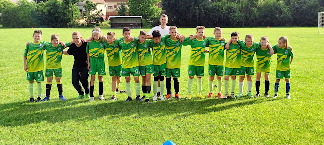 Opinii despre Kartal focipálya în Kartal - Sportpálya