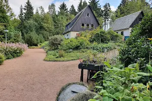 Schellerhau Botanical Garden image