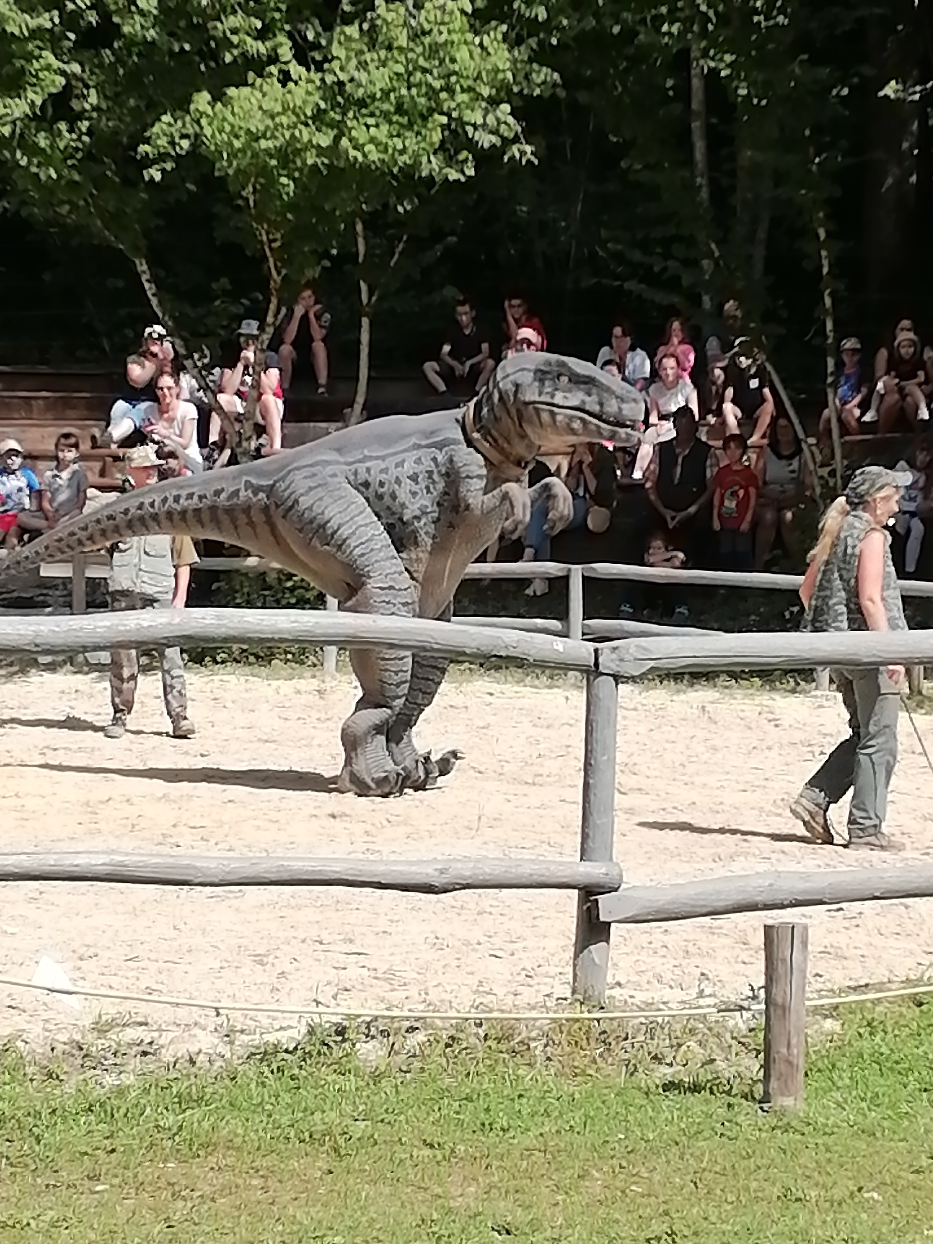 Photo n° 1 de l'avis de Virginir.e fait le 08/07/2021 à 21:38