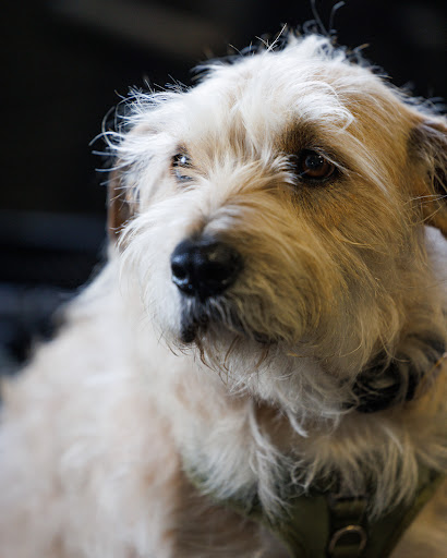 Gym «BURNfit Athletics», reviews and photos, 1984 Northgate Commerce Pkwy, Suffolk, VA 23435, USA