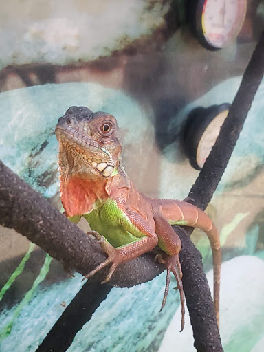 Pet Supply Store «Petco Animal Supplies», reviews and photos, 1331 Hooper Ave, Toms River, NJ 08753, USA