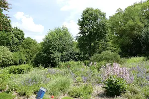 Aromagarten an der Palmsanlage image