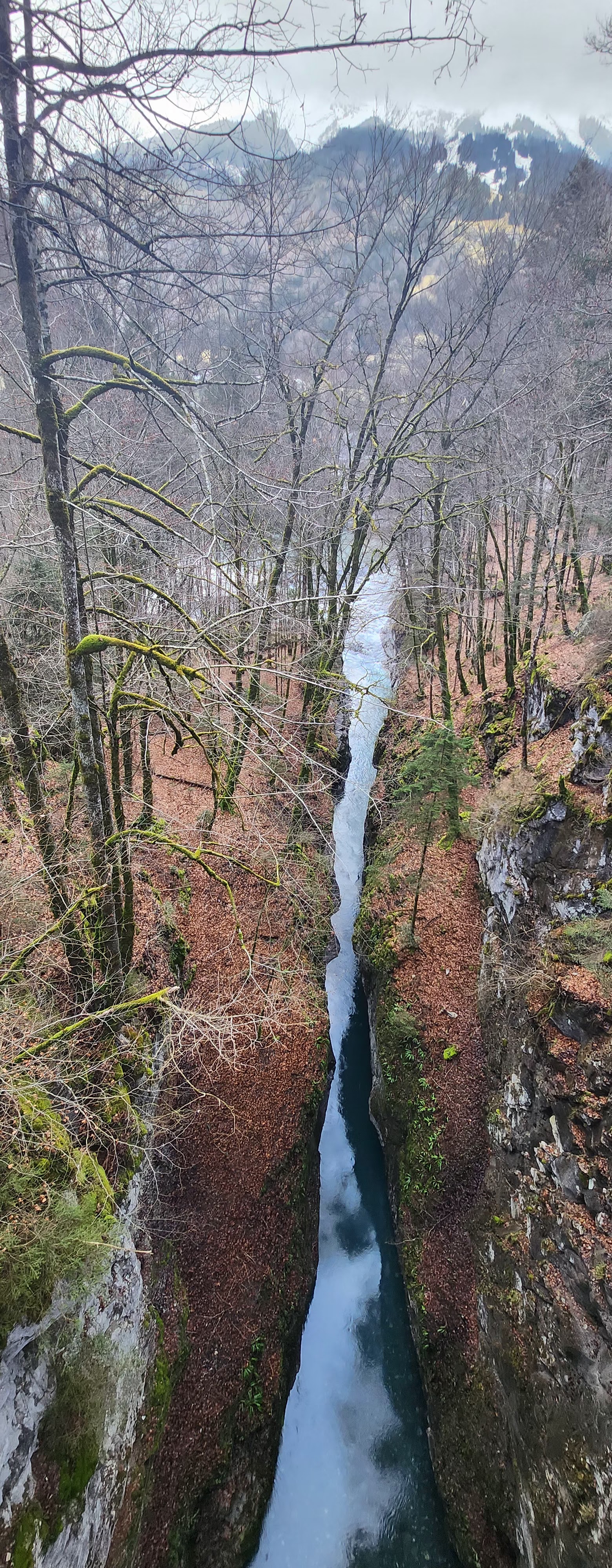 Photo n° 1 de l'avis de Mikuláš.r fait le 13/03/2024 à 17:12