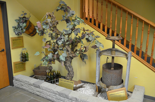 Winery «Chateau Thomas Winery», reviews and photos, 6291 Cambridge Way, Plainfield, IN 46168, USA