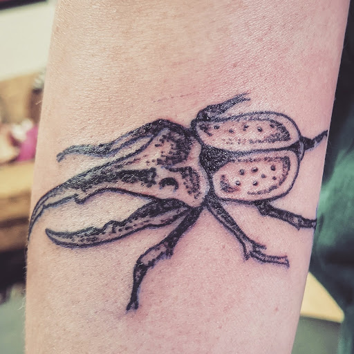 Tattoo Shop «Hydra Electric Tattoo», reviews and photos, 317 Green Bay Rd, Highwood, IL 60040, USA