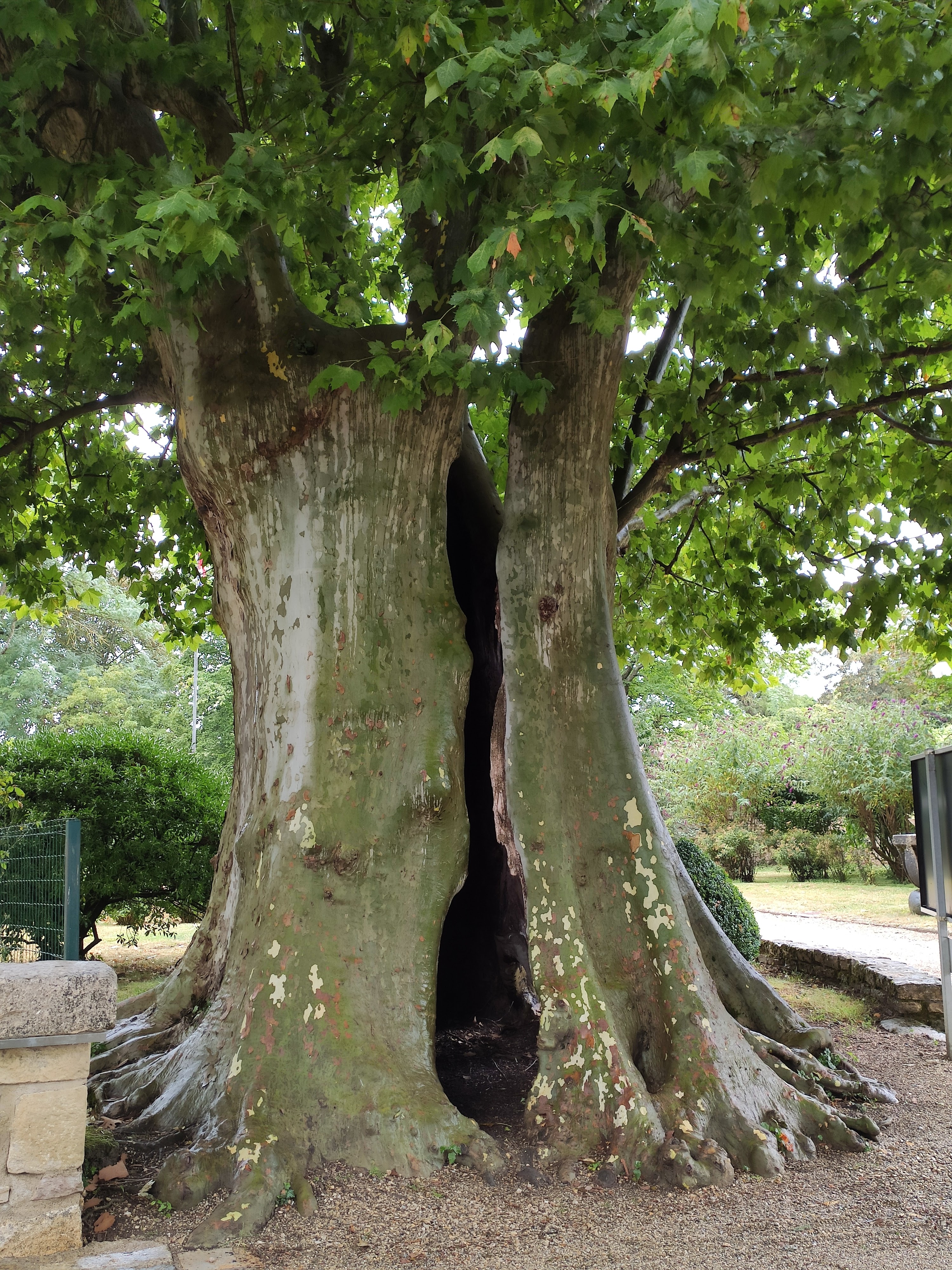 Photo n° 8 de l'avis de Hélène.o fait le 15/07/2020 à 16:19