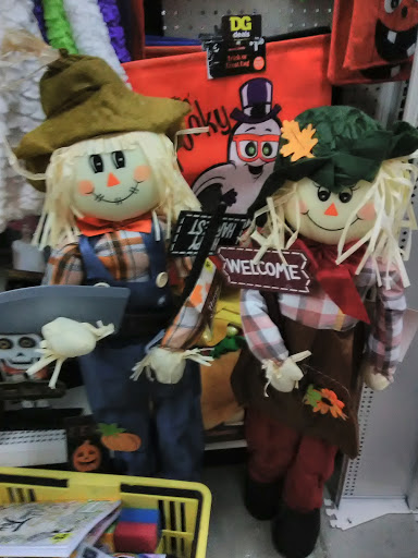 Home Goods Store «Dollar General», reviews and photos, 19 Market Street, Palmyra, VA 22963, USA