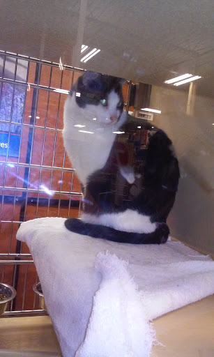 Pet Supply Store «PetSmart», reviews and photos, 55 Boston Post Rd, Orange, CT 06477, USA