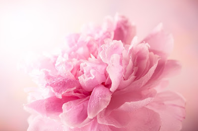 Juliette Ly - Massage Kobido Paris, Massage facial, Intrabuccal, Sophrologue Paris 17 à Paris