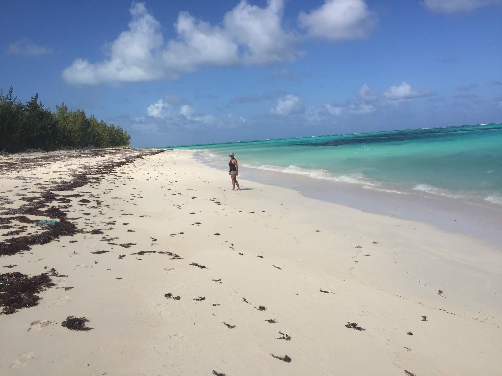 Foto av Horse Stable beach med turkos rent vatten yta