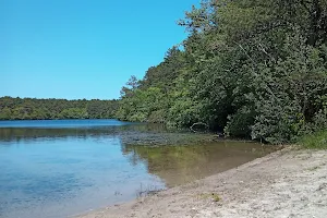 Sandy Pond image