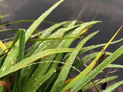 Park «Cass Park», reviews and photos, Cass Avenue, Woonsocket, RI 02895, USA