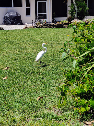 Golf Course «Baytree National Golf Links», reviews and photos, 8207 National Dr, Melbourne, FL 32940, USA