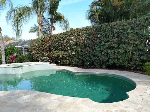 Golf Course «Golf Club Of Jupiter Inc», reviews and photos, 1800 Central Blvd, Jupiter, FL 33458, USA