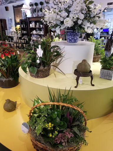 Florist «Thrifty Florist», reviews and photos, 211 S Telegraph Rd, Pontiac, MI 48341, USA