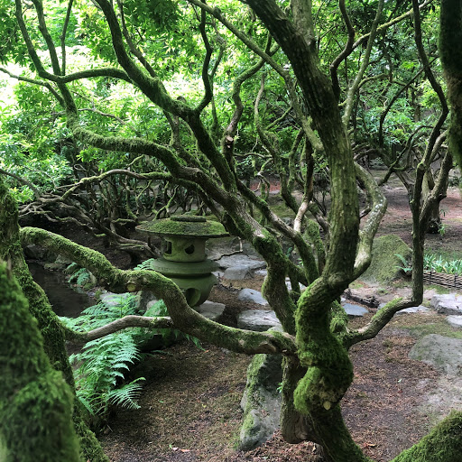 Garden «Portland Japanese Garden», reviews and photos, 611 SW Kingston Ave, Portland, OR 97205, USA