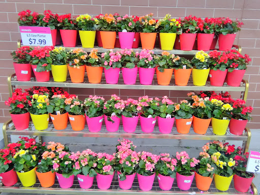 Grocery Store «Meijer», reviews and photos, 15 Caberfae Hwy, Manistee, MI 49660, USA