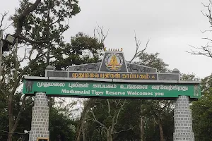 Mudumalai Tiger Reserve Interpretation Centre image