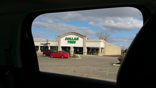 Dollar Store «Dollar Tree», reviews and photos, 8653 Columbus Pike, Lewis Center, OH 43035, USA