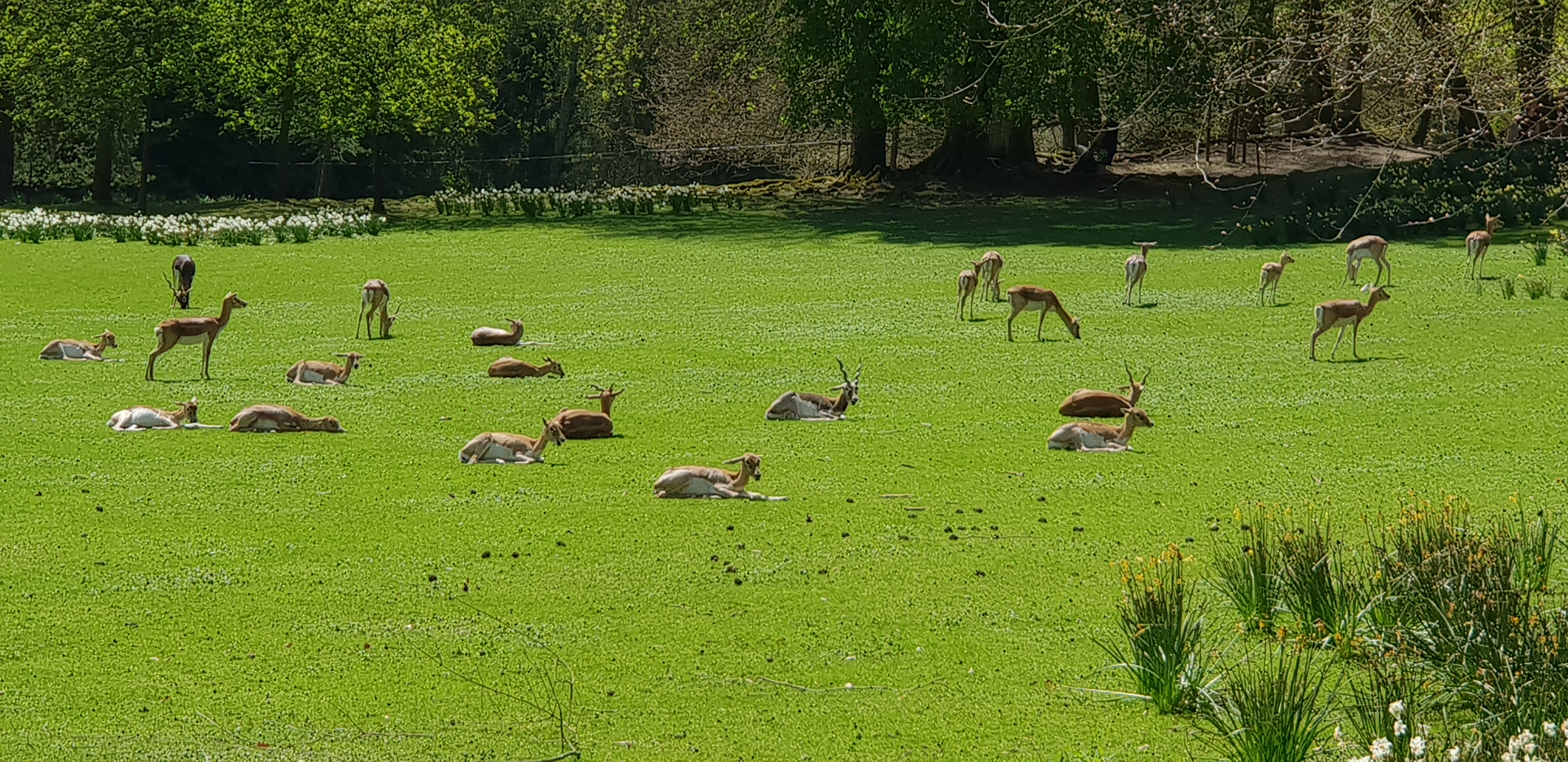 Photo n° 11 de l'avis de Dominique.A fait le 18/04/2018 à 14:35
