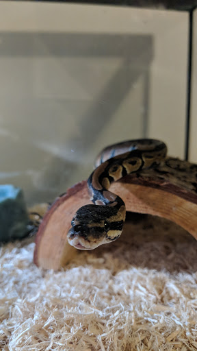 Pet Supply Store «PetSmart», reviews and photos, 2216 E Springs Dr, Madison, WI 53704, USA