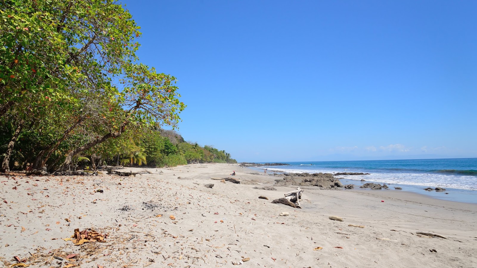 Playa Montezuma'in fotoğrafı vahşi alan