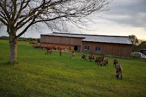 Chambre d'hotes Ferme de Sardonnet image