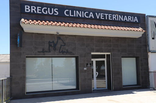 Clínica Veterinaria Bregus en Villanueva de la Serena