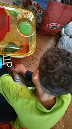 Pet Supply Store «PetSmart», reviews and photos, 700 Gallery Blvd b, Scarborough, ME 04074, USA