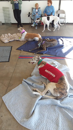 Pet Supply Store «Centinela Feed & Pet Supplies», reviews and photos, 22840 Hawthorne Blvd, Torrance, CA 90505, USA