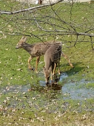 Memorial Park «Veterans Memorial Park», reviews and photos, 7619 Memphis Ave, Brooklyn, OH 44144, USA