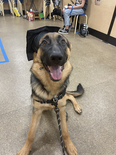 Pet Supply Store «PetSmart», reviews and photos, 2901 Texas Sage Trail, Fort Worth, TX 76177, USA