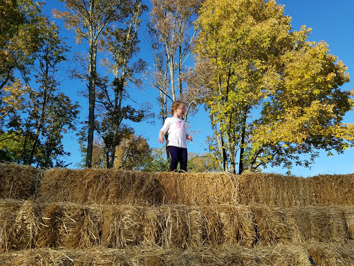 Farm «Langwater Farm», reviews and photos, 209 Washington St, North Easton, MA 02356, USA