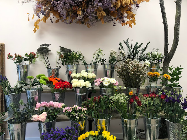 Reviews of Flowers by Devall in Edinburgh - Florist