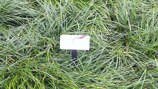 Garden «Bok Tower Gardens», reviews and photos, 1151 Tower Blvd, Lake Wales, FL 33853, USA