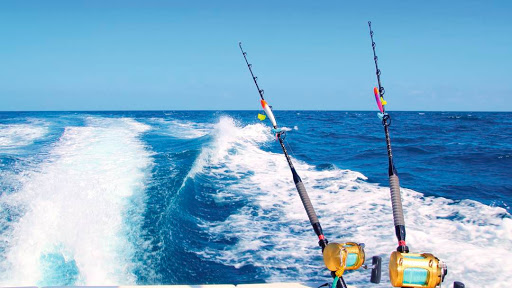 Hunting and Fishing Store «FISHING TACKLE GRAB BAG», reviews and photos, 5521 N State Rd, Davison, MI 48423, USA