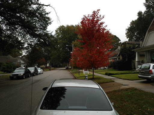 Performing Arts Theater «Hattiloo Theatre», reviews and photos, 37 Cooper St, Memphis, TN 38104, USA