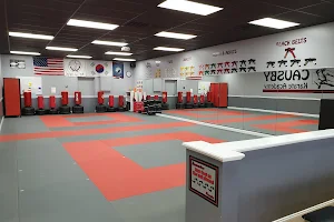Causby Karate Academy image