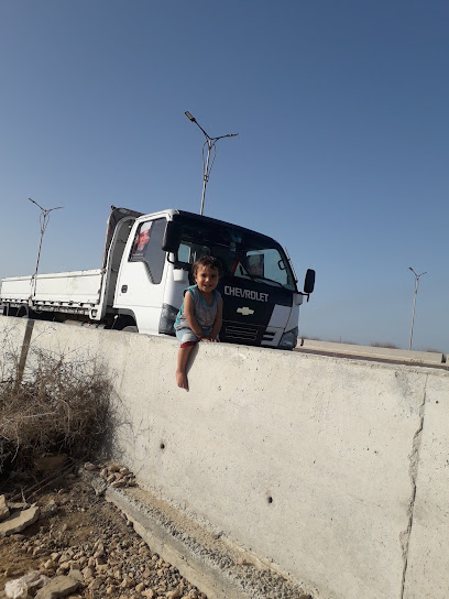 احمد عزب