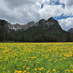 Photo n°2 de l'avis de Oscar.. fait le 28/05/2023 à 20:44 sur le  Malga Foresta à Prags