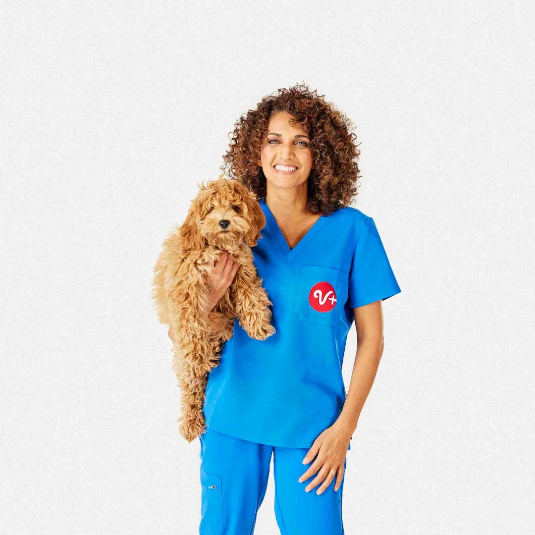 PetSmart Veterinary Services - Central Tucson